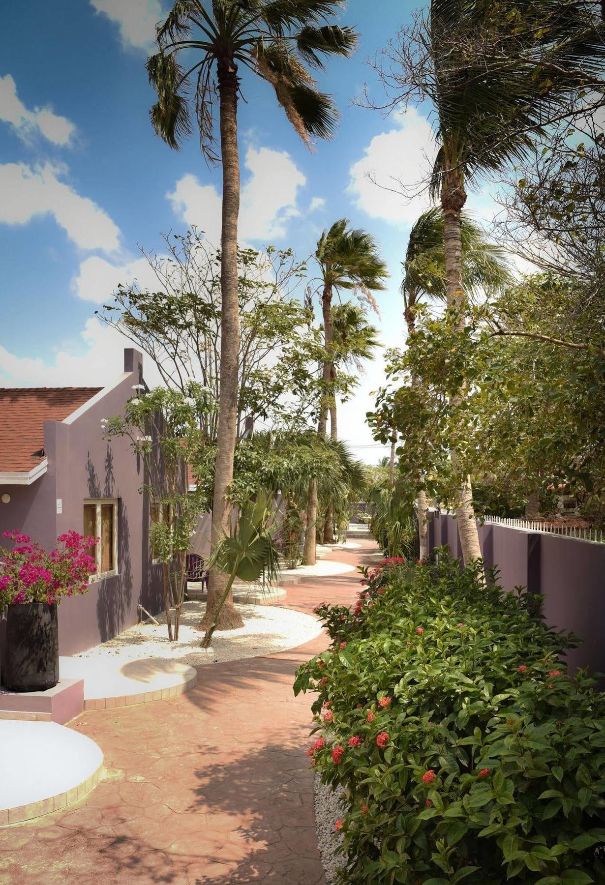 Cadushi Apartments Oranjestad Kültér fotó